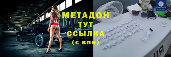 хмурый Аркадак