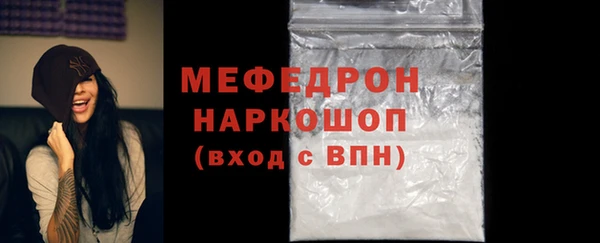 хмурый Аркадак