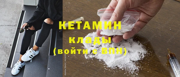 хмурый Аркадак