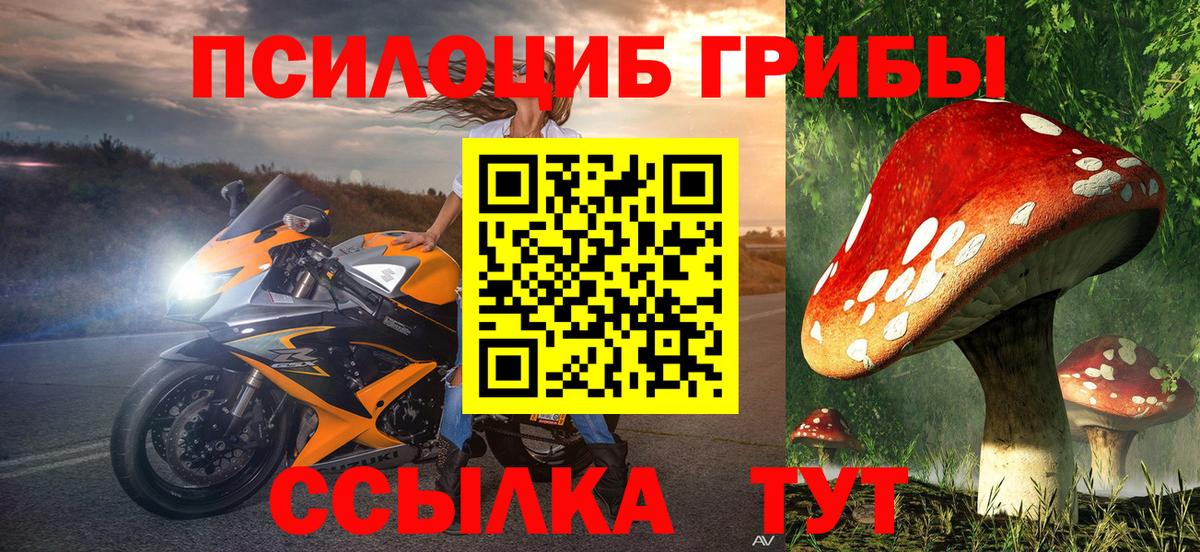 Барабинск  Псилоцибиновые грибы прущие грибы  Вход с VPN 