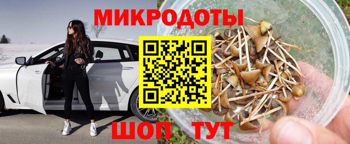 Галлюциногенные грибы Cubensis Барабинск